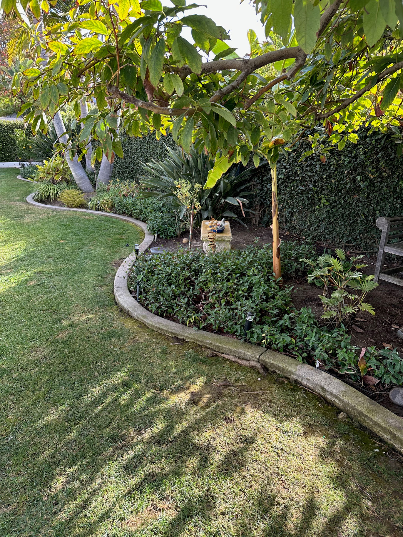 Backyard before construction