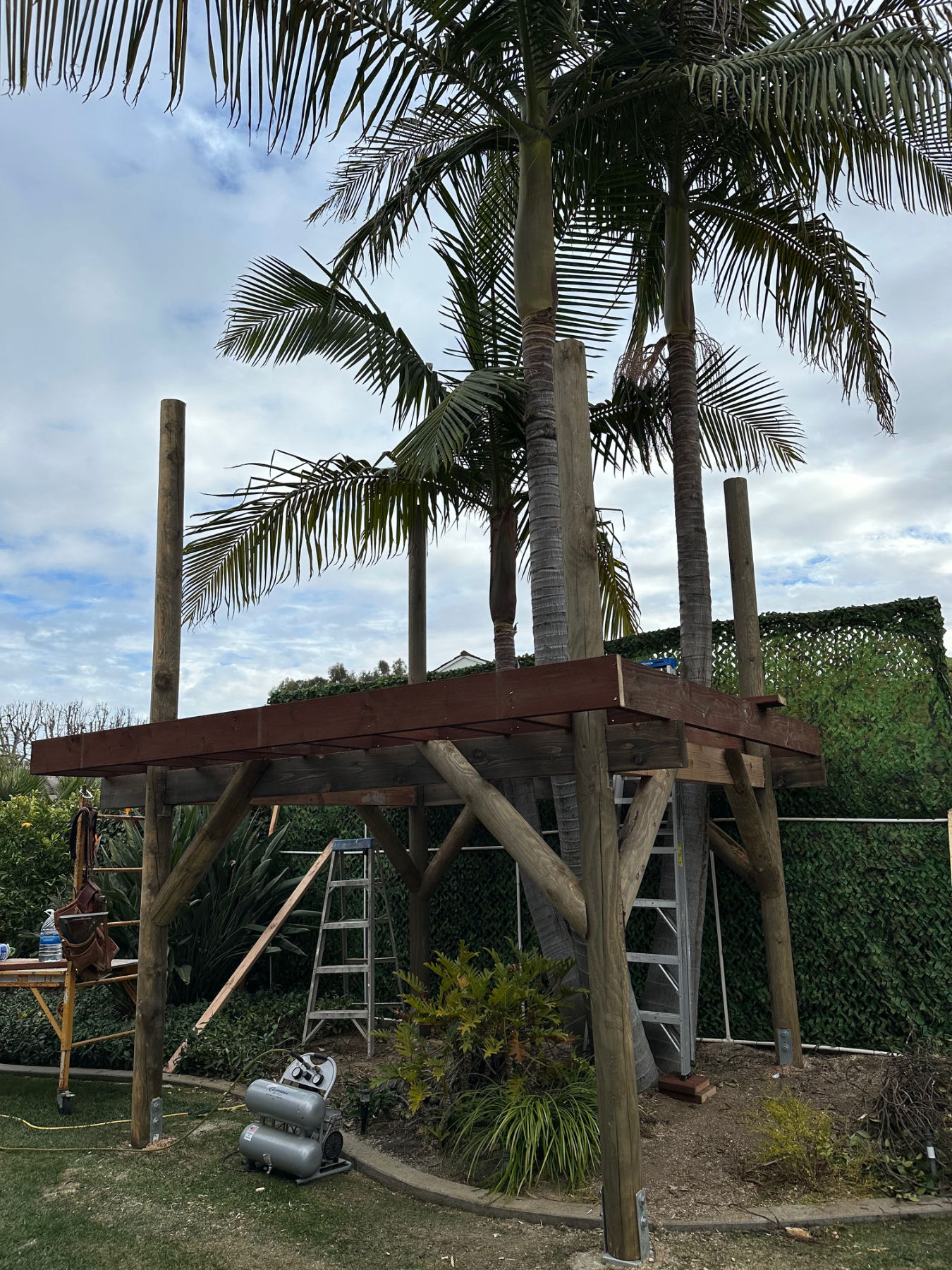 Elevated platform framing