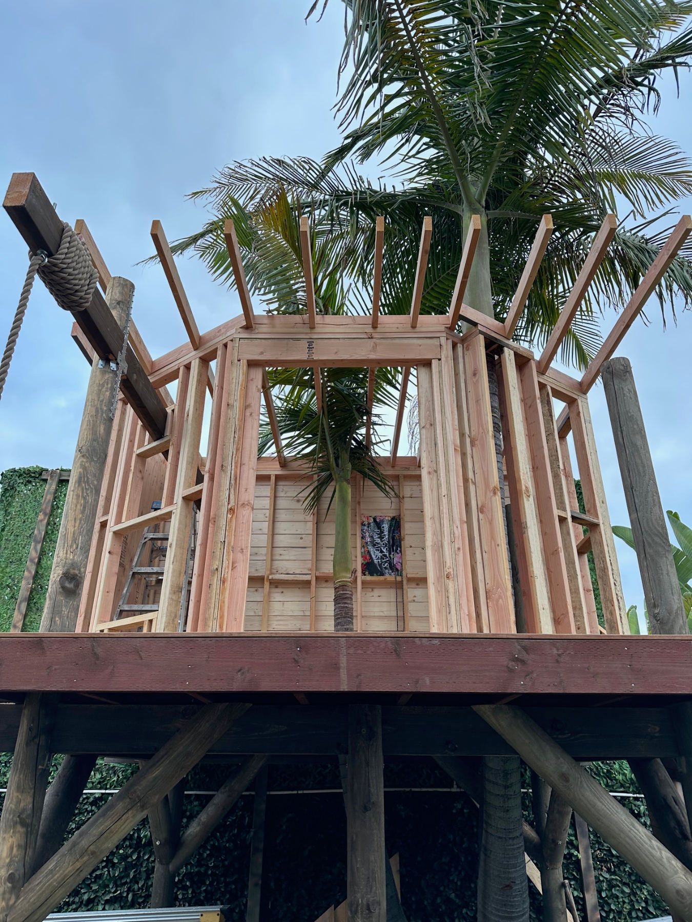 Tree house roof framing